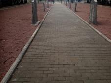 Великий Новгород, Григоровское захоронение