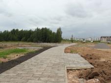 20 июля 2022г. Великий Новгород, Псковская роща. Фотография управления по работе со СМИ