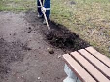 Великий Новгород, Колмовское захоронение