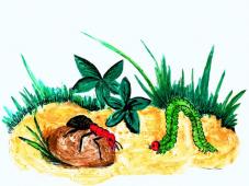 Конкурс «Путешествие в Страну Див». Галерея работ https://bianki.biblionika.info/ 