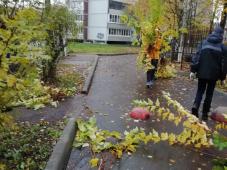 Фото предоставлено отделом-центром &quot;Псковский&quot;