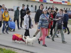 30 мая 2017 г. Великий Новгород. Общественные обсуждения по благоустройству части парка Юности, между бульваром Юности и местным проездом в микрорайоне 7 города. Фото Игоря Белова