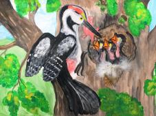 Конкурс «Путешествие в Страну Див». Галерея работ https://bianki.biblionika.info/