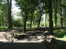 9 августа 2022г. Великий Новгород, Кремлевский парк. Фотография управления по работе со СМИ	