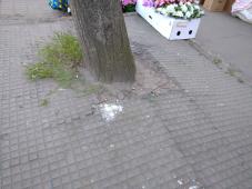 2 июня 2020 г. Великий Новгород, ул. Федоровский Ручей. Ремонт в рамках нацпроекта БКАД. Фото управления по работе со СМИ