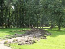 9 августа 2022г. Великий Новгород, Кремлевский парк. Фотография управления по работе со СМИ	
