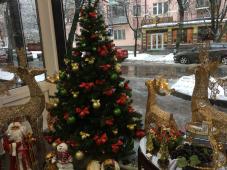 смотр-конкурс «Лучшее новогоднее оформление организаций, предприятий и учреждений Великого Новгорода -2017»