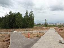 20 июля 2022г. Великий Новгород, Псковская роща. Фотография управления по работе со СМИ
