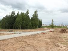20 июля 2022г. Великий Новгород, Псковская роща. Фотография управления по работе со СМИ